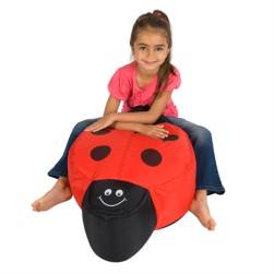 Ladybird Beanbag For Children 